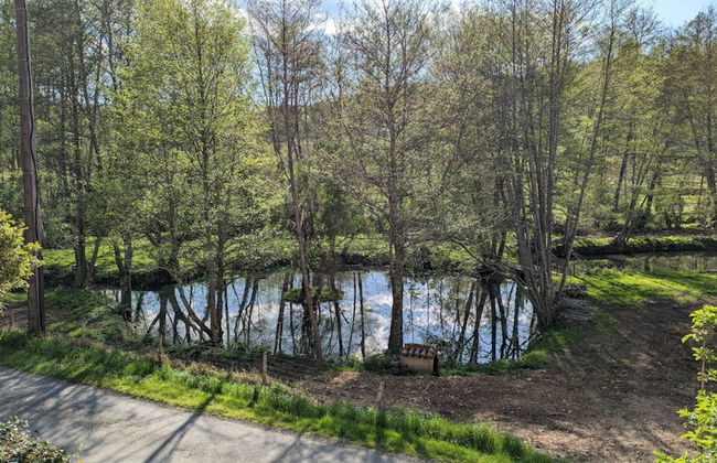 BONFARTO LOCATIONS - Foto 70