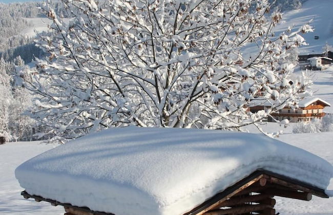 Feriendorf Wildschönau - Foto 16