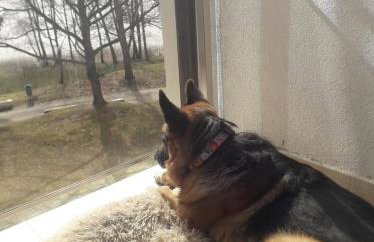 Apartament Perła 22 Jezioro Pluszne - Foto 18