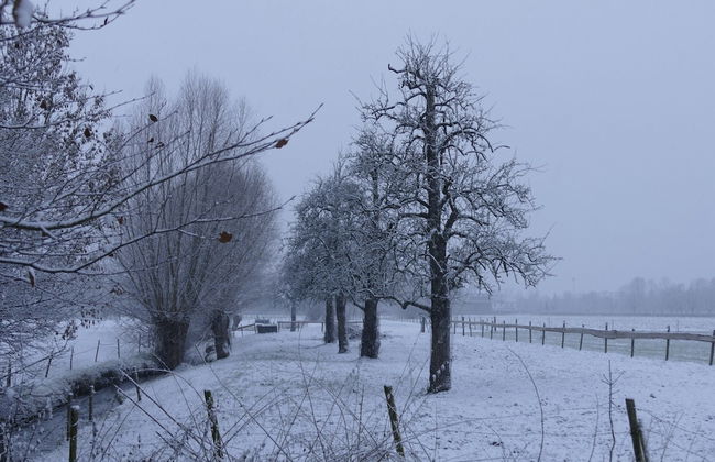 Welcoming Apartment near Town Center in Mesch - Foto 31