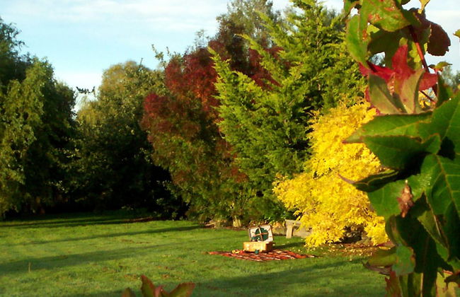 Longbourne Lodge - Foto 45