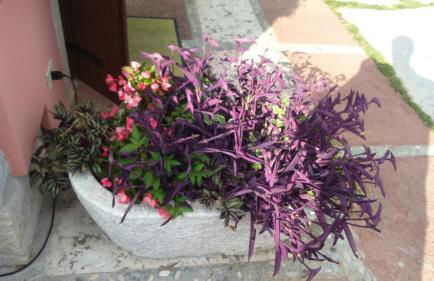 La Residence da Caterina - Photo 44