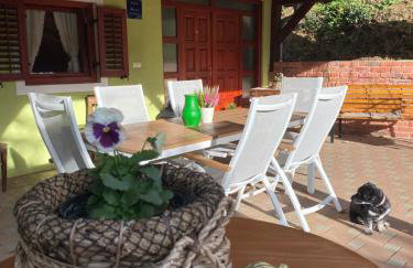 Šalatin jarek - Foto 19