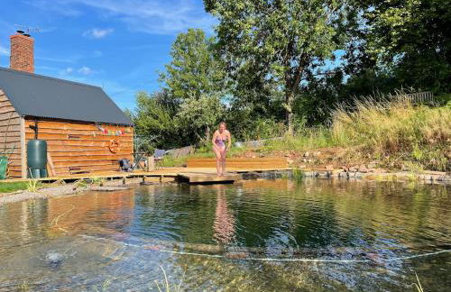 Sauna, Hot Tub & Cold Plunge Pyramid Escape - Foto 35