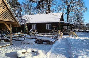 Gospodarstwo agroturystyczne alpaki Pituchówka - Foto 26