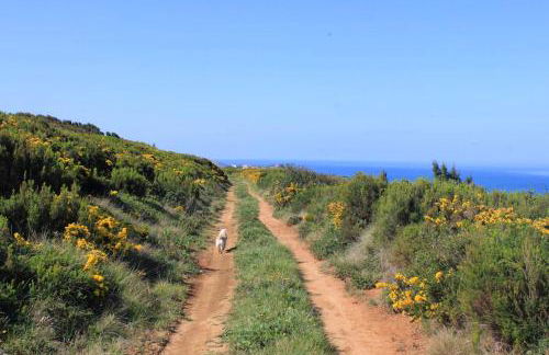 Charming House in Nazaré with Fireplace - Foto 24