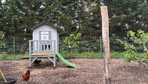 Gite Cocon entre lac et Nature - Foto 3