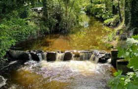 King's Cottage - Foto 16