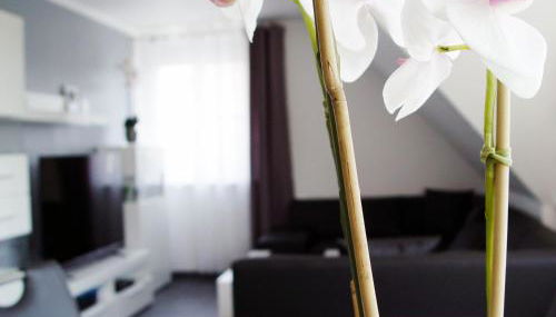 La Domus Premium - Foto 4