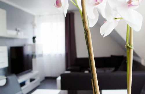 La Domus Premium - Foto 4