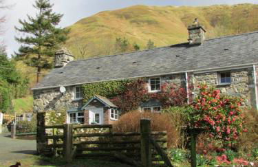 Bryn Sion Farm - Photo 12