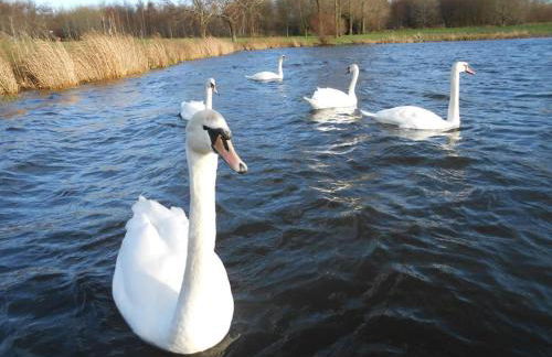 THE LAKE HOUSE: a delightful and peaceful retreat. - Foto 11