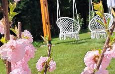 Chillera Domki - Photo 18