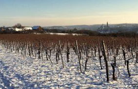 Quartier Rottewitz - Foto 44