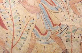 Villa Celestina, a 10 minuti dalle Terme - Foto 57