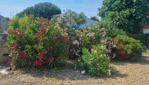 Séjour en famille à Avail - Foto 5, Garden