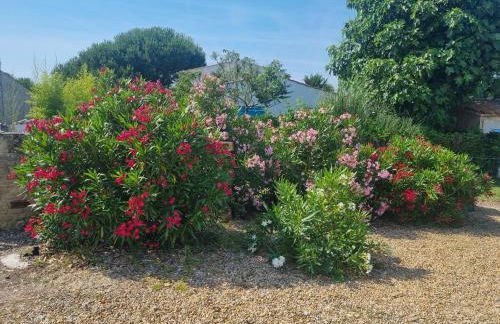 Séjour en famille à Avail - Foto 5
