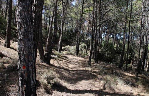 Rustic House Smaro - Foto 35