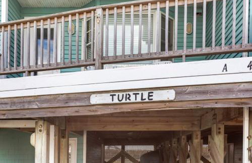 CAC-21A - Turtle - Photo 5