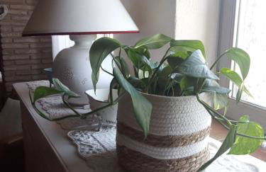 DomusAntiga Monolocali E Trilocali- hifi gratuito - Foto 15