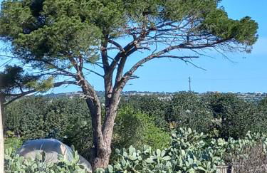 Scicli Città felice - Foto 30