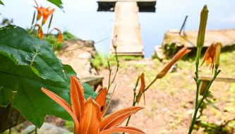 Camp Hudson Pines - Foto 5, Garden view