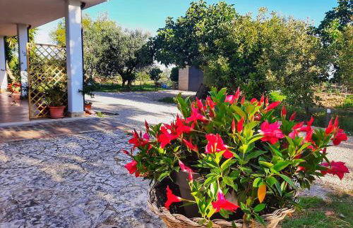 Da Nella Dimora di Campagna - Maison à Porter - Foto 60