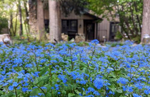 Cabin on Big Cottonwood River - Foto 7
