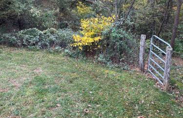 3BR Pet Friendly Cottage Mathias WV - Foto 22