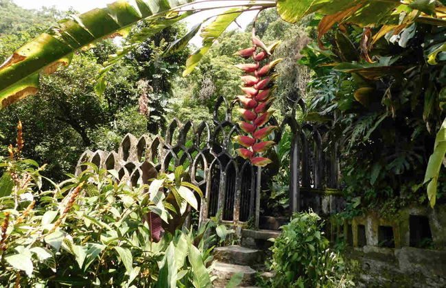 Escursione a Xilitla - Foto 9