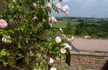 Thatch Close Cottages - Foto 19