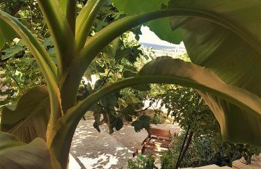 Apartments Villa Marija - Foto 17