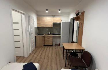 Apartamenty Ścinawa - Foto 24