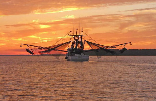 45 Davis Love Dr - Foto 57