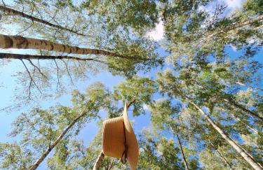 Ostoja Wycinki domki letniskowe - Foto 34