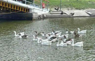 Chalé Refidim - Foto 26