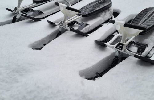 Waldblick Ferienwohnungen - Foto 74