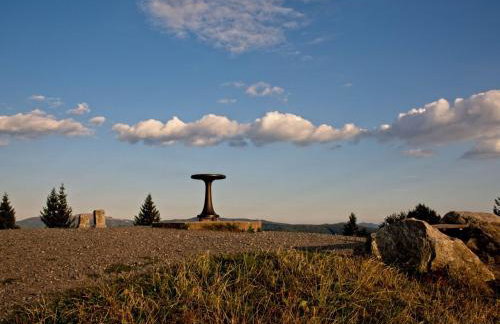 Fidelis-Bühl Muggenbrunn - Foto 10