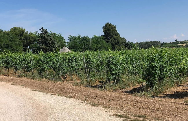 Ai Pilieri di Bagnoli - Foto 48