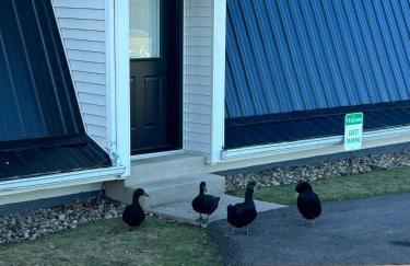 The Barn at Sharp Run-Modern Barn in the heart of Amish Country - Photo 15