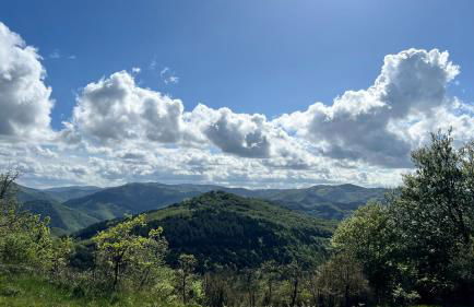 Gîtes de Rouvignac - Foto 25