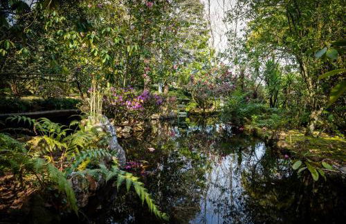 Quinta de Mourães Casa dos Rododendros - Foto 36