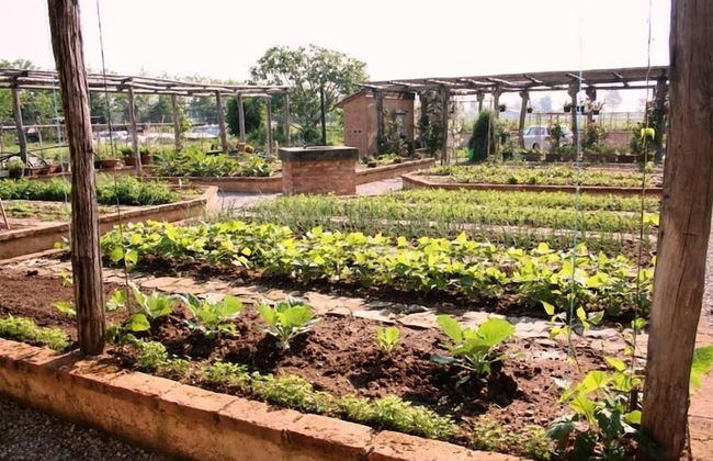 Corte Breda Agriturismo Bed & Breakfast - Foto 52