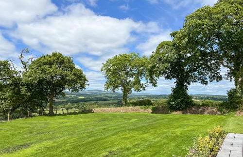 Llwyncelyn Farmhouse - Foto 35