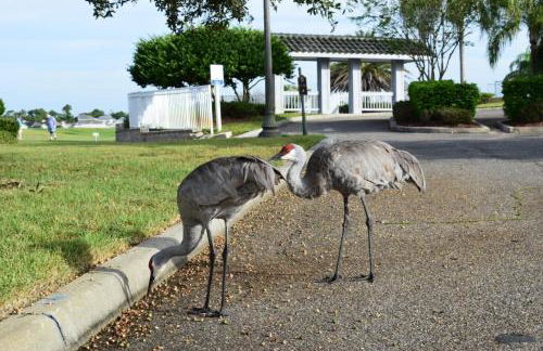 Large family friendly Vacation Home, Private Pool, Golf course location, Nr Orlando Disney Parks Florida - Photo 31