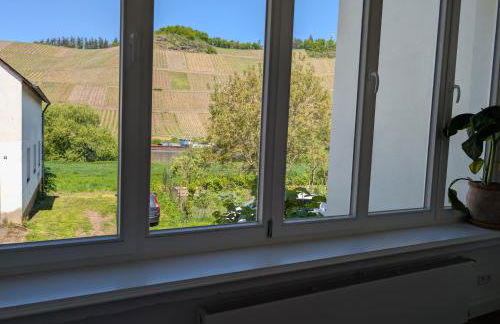 Winzervilla Kammerhof - 3x stilvolle & geräumige FeWos mit Moselblick, 2-12 Gäste buchbar, direkt am Moselradweg - Foto 55