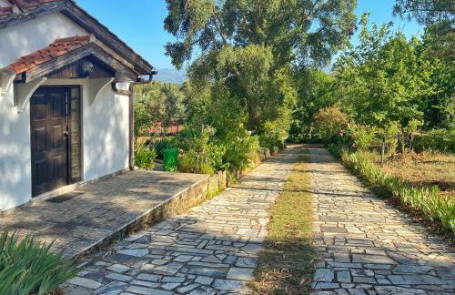 Quinta Do Pereiro - Foto 5