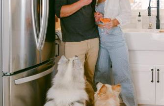 Luxe OB Home, Walk to Beach, Sauna, and Backyard - Photo 17