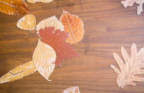 La Charca de la Dehesa - Foto 13