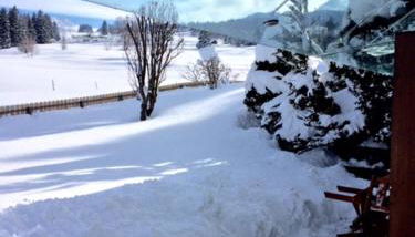 Baldauf's Alpchalet - Foto 5, Garden